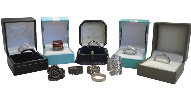 Ten Silver Rings (10)