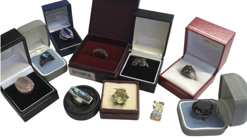 Ten Silver Rings (10)